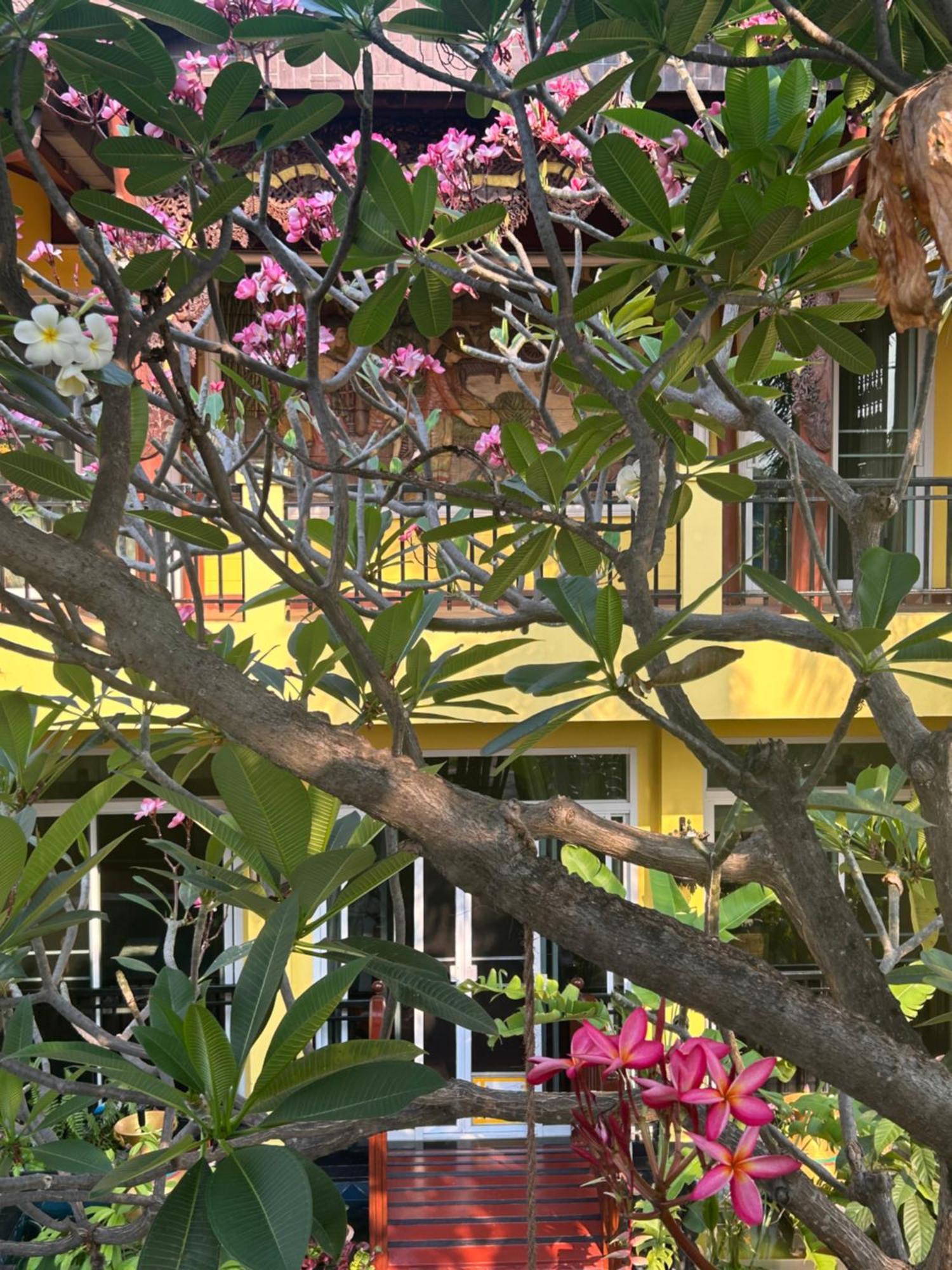 Lamduan Boutique Homestay Чиангмай Екстериор снимка
