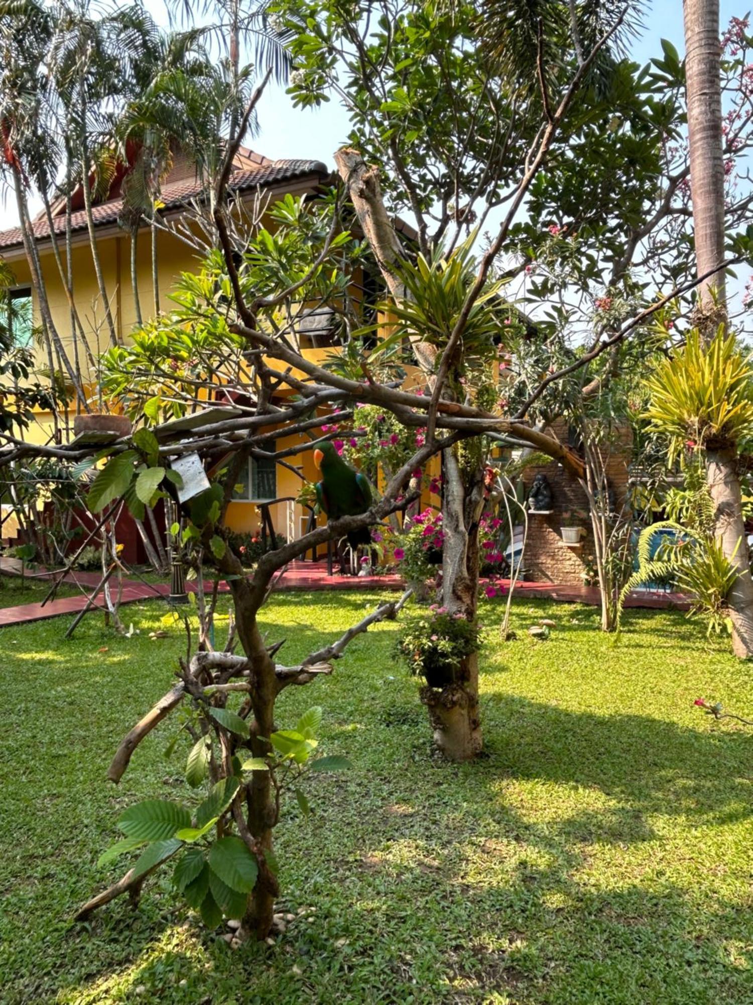 Lamduan Boutique Homestay Чиангмай Екстериор снимка